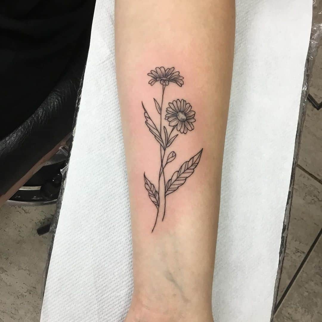Diseños de tatuajes de flores de aster 
