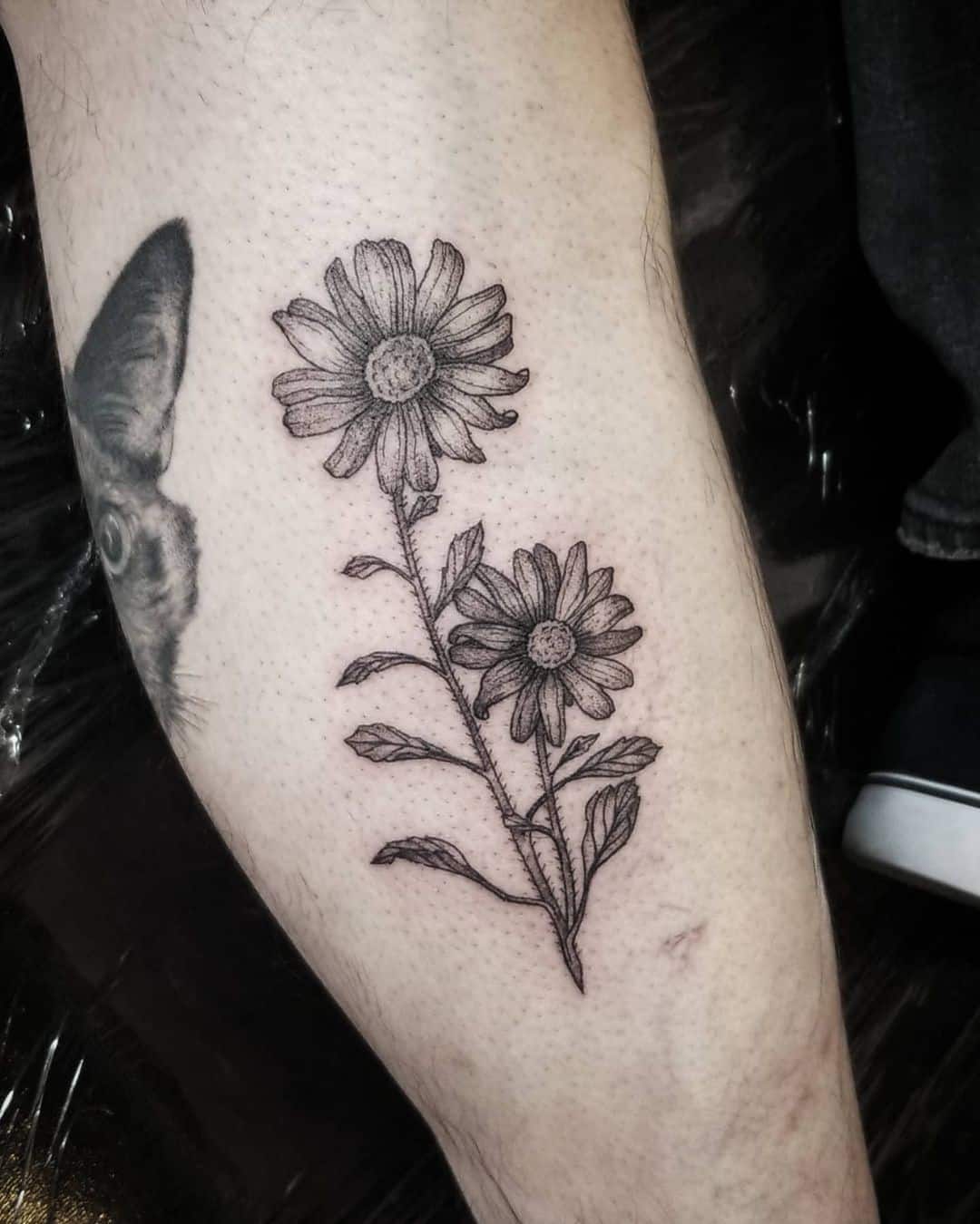 Tatuaje de flor de aster minimalista 