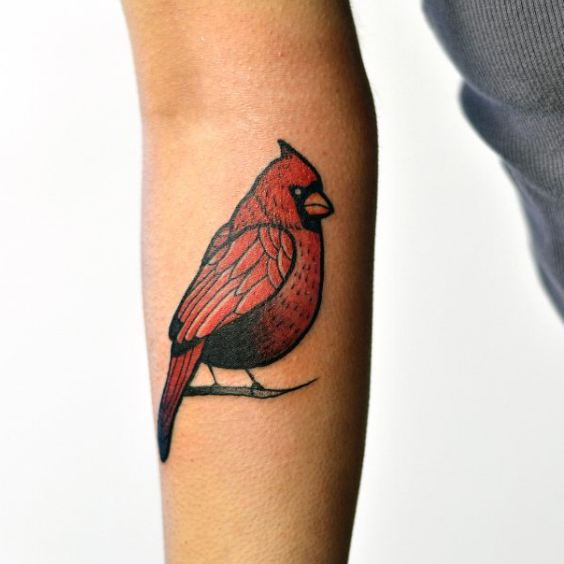 Tatuajes De Aves En El Brazo