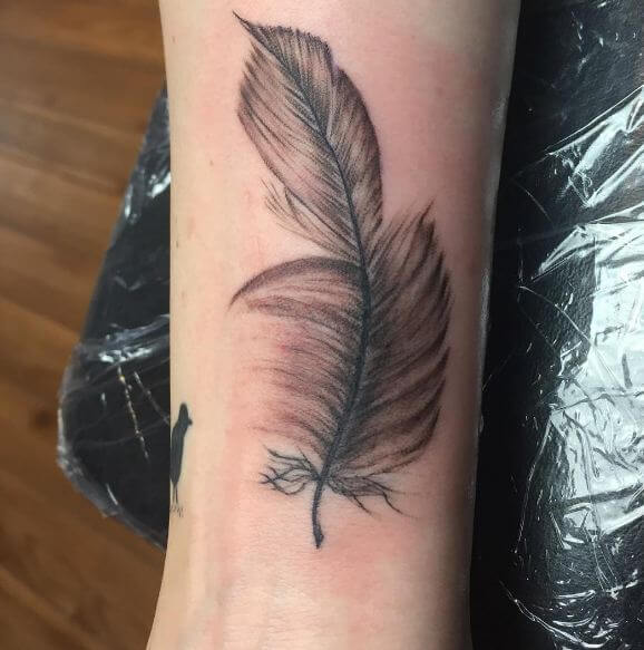 Tatuajes De Plumas Negras Y Grises