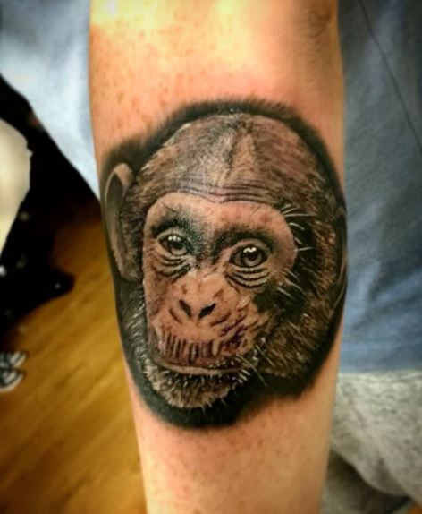 Tatuajes De Vida Silvestre De Chimpancé