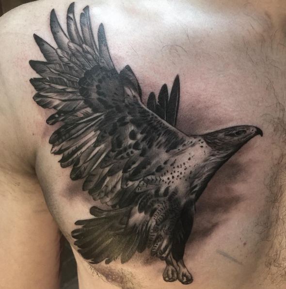 Tatuajes de águila salvaje en el pecho