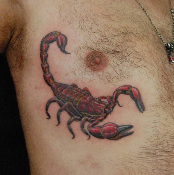 Tatuajes De Vida Silvestre De Escorpión