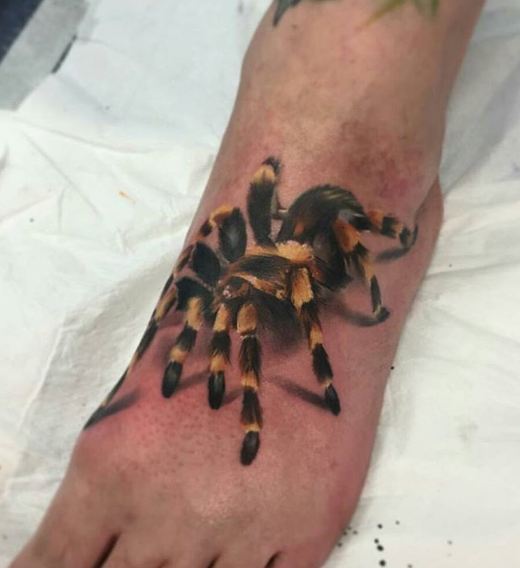 Tatuajes De Araña De Vida Silvestre
