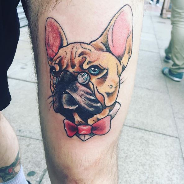 Tatuaje de perro después de la esterilización