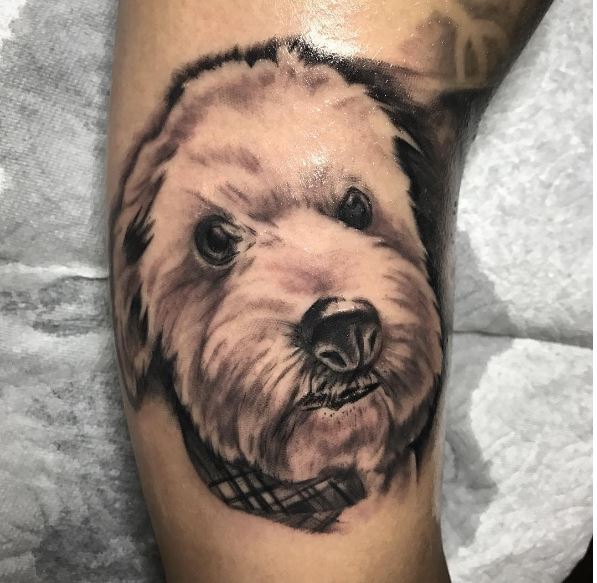 Diseño de tatuajes de perro de color al óleo en las manos