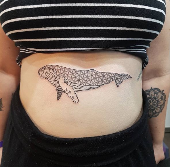 Tatuajes De Ballenas En El Estómago