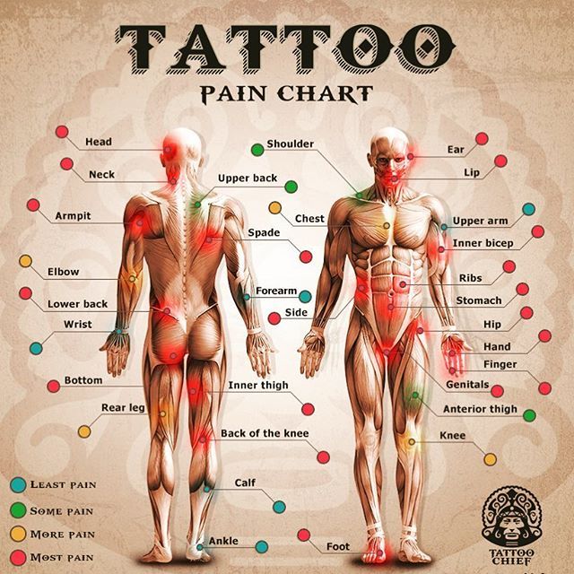 Pequeños diseños de tatuajes de toros simples (117)