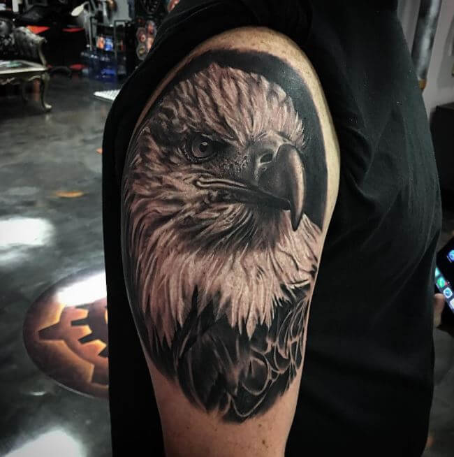Tatuajes De Águila En El Brazo