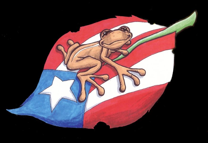 Símbolos y significados de los taínos dominicanos (27)