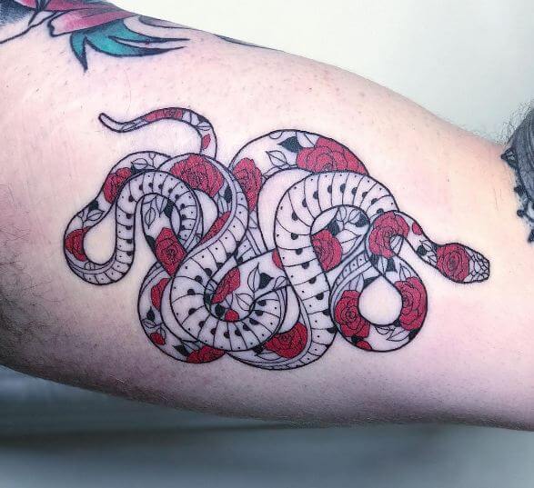 Tatuaje Neo Tradicional De Serpiente