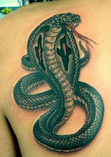 Tatuajes Realistas De Serpientes