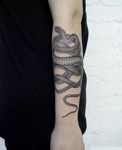 Tatuajes De Serpiente En Brazos