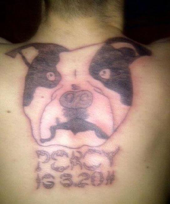 Peores Tatuajes De Perro