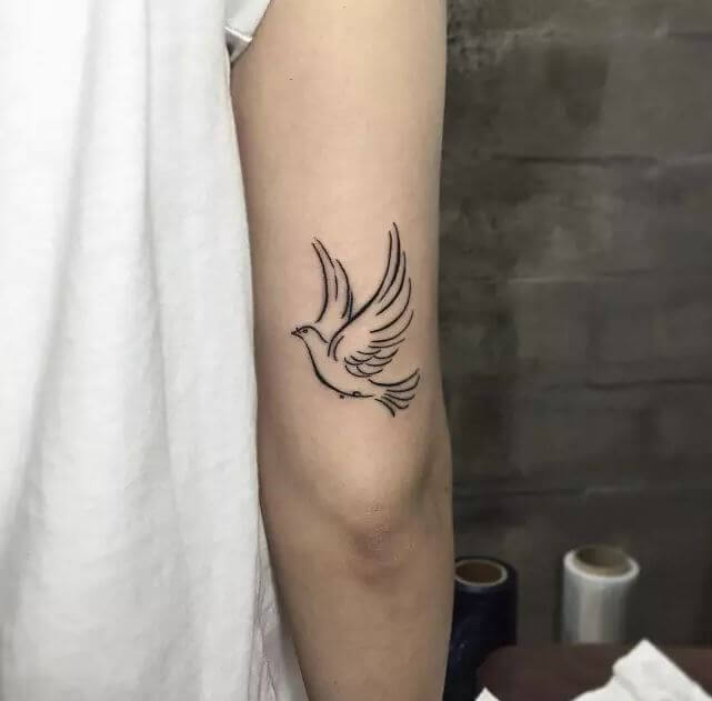 Diseño de tatuajes de paloma en el codo