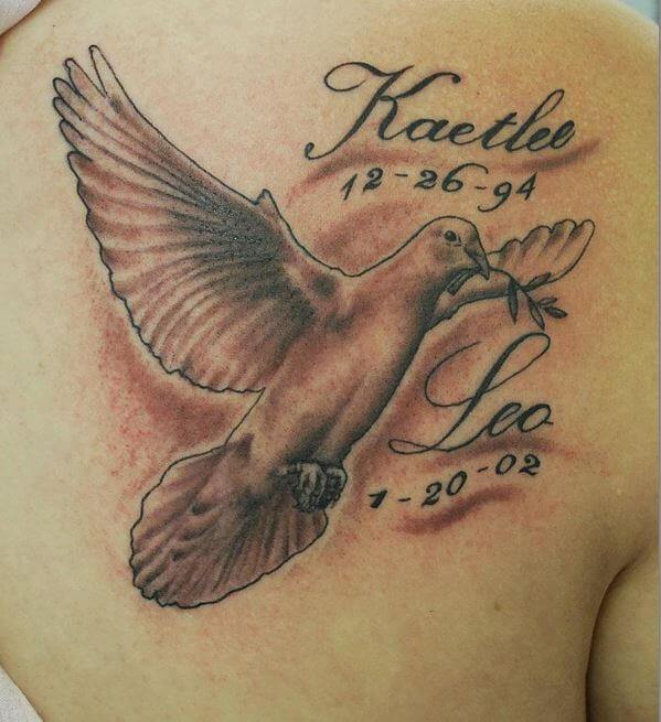 Tatuajes de paloma en la espalda superior del hombro