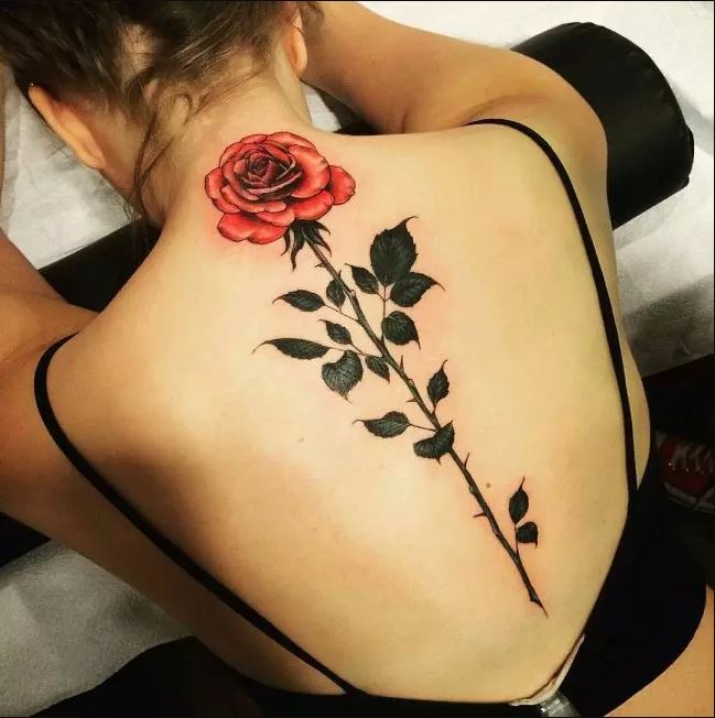 Diseño de tatuajes de columna de rosa roja para niñas