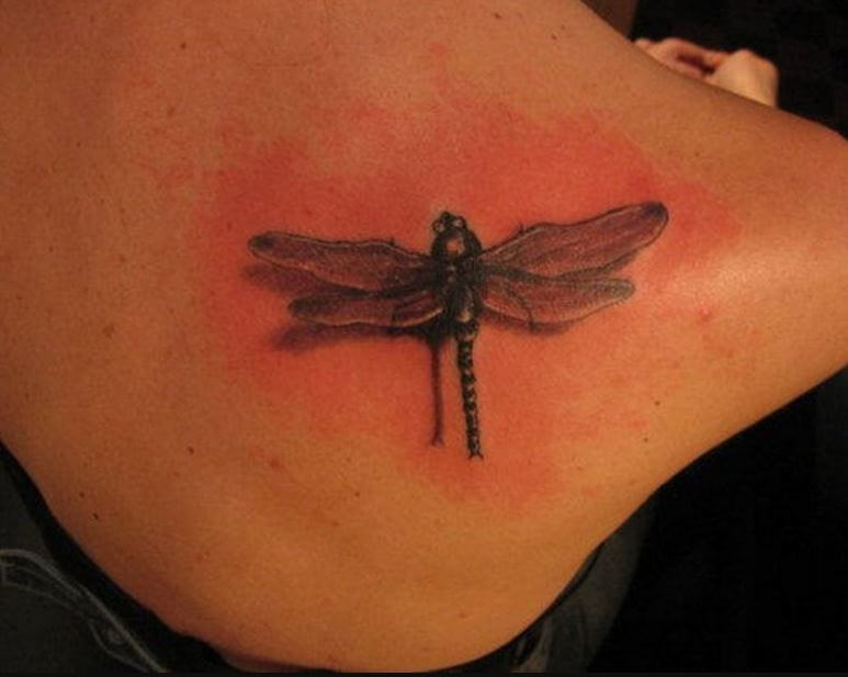 Tatuajes De Libélula Para La Espalda Baja