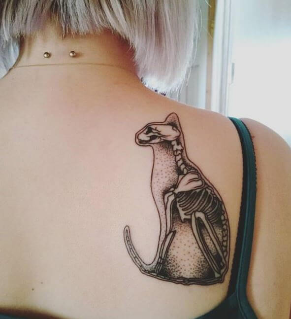 Tatuaje De Esqueleto De Gato
