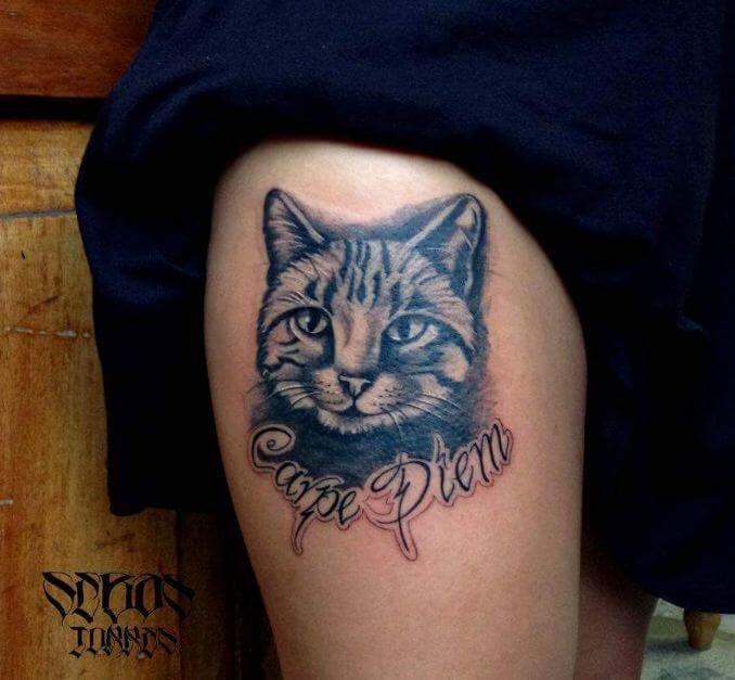 Tatuajes De Gato Realista