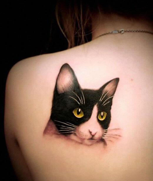 Tatuaje De Gato De Esmoquin