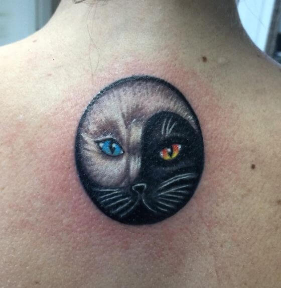 Tatuajes De Gato Con Yin Yang