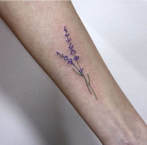 Tatuajes Increíbles De Lavanda