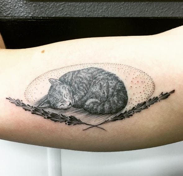 Tatuajes De Gato Con Flor De Lavanda