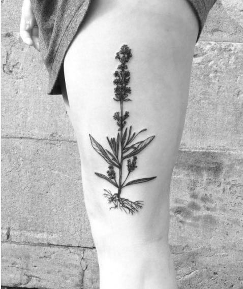 Tatuajes De Lavanda En El Muslo