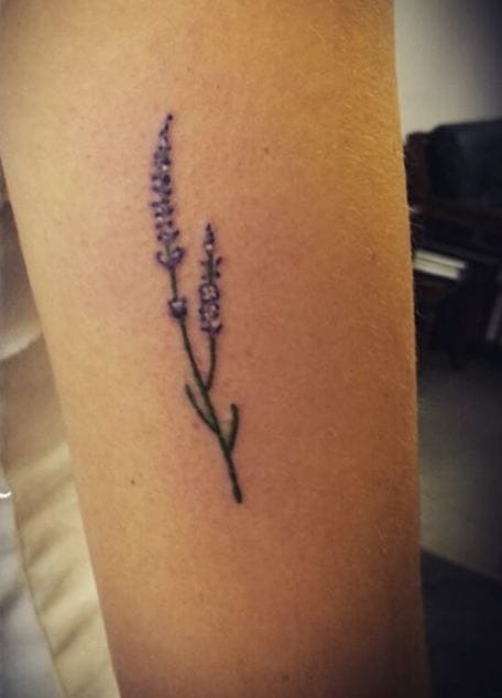 Pequeños Tatuajes De Lavanda