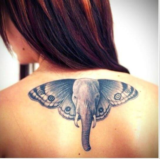 Tatuajes De Elefantes Enojados Tampa