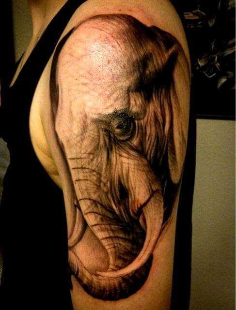 Tatuajes de elefantes enojados Valrico Fl