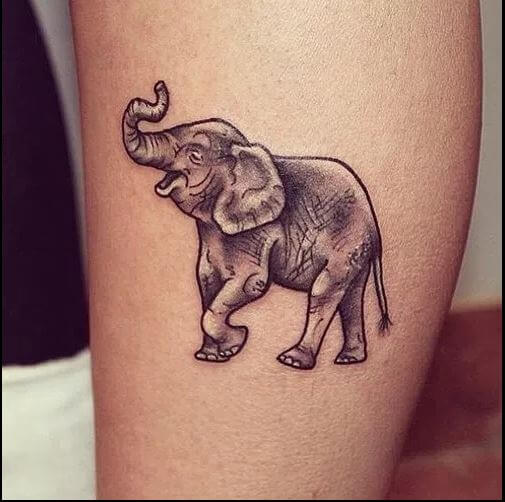 Tatuajes De Elefantes En La Pantorrilla