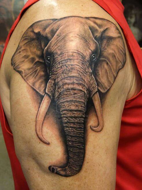 Diseño de tatuajes de elefante de media manga en las manos