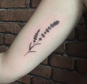 Tatuaje De Lavanda