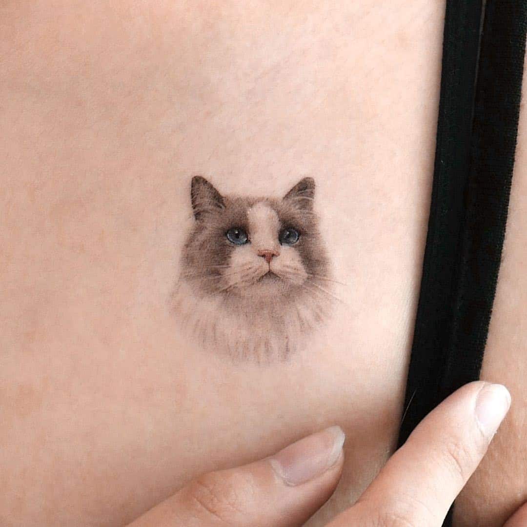 Tatuaje de gato realista