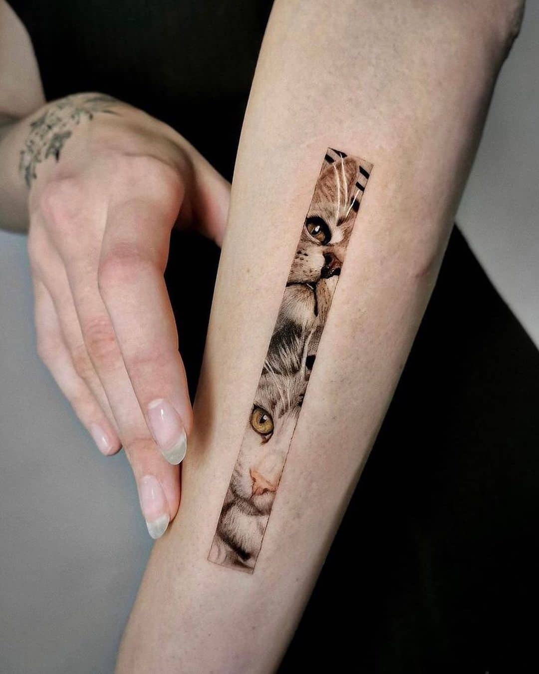 Tatuaje en el brazo, gato realista