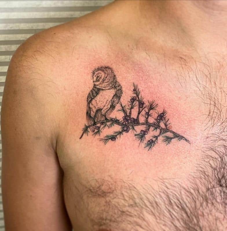 Tatuaje de búho en rama 1
