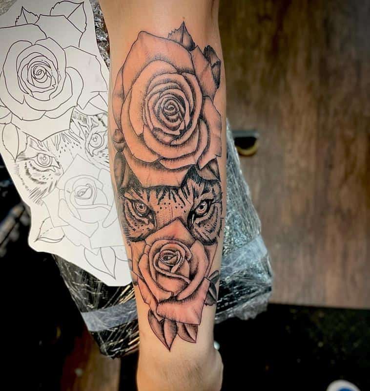 Ojos de tigre escondidos detrás del diseño del tatuaje de rosas