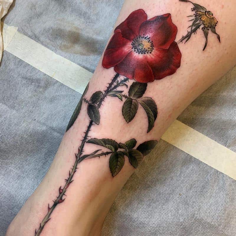 Tatuaje de rosa botánica