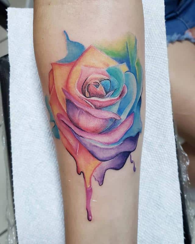 rosa arcoiris