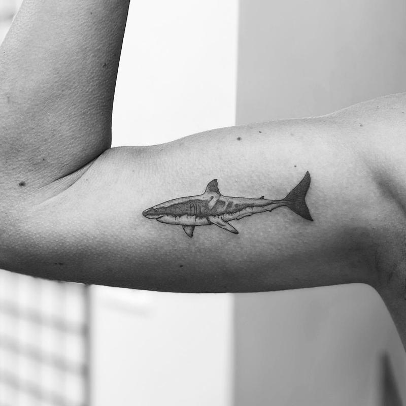 Pequeño diseño de tatuaje de tiburón realista