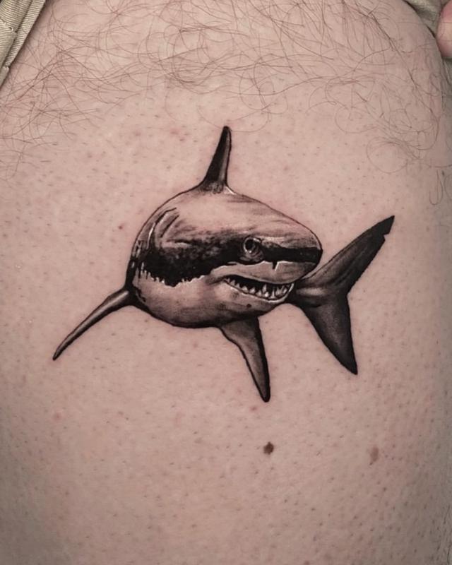 Gran diseño de tatuaje de tiburón blanco