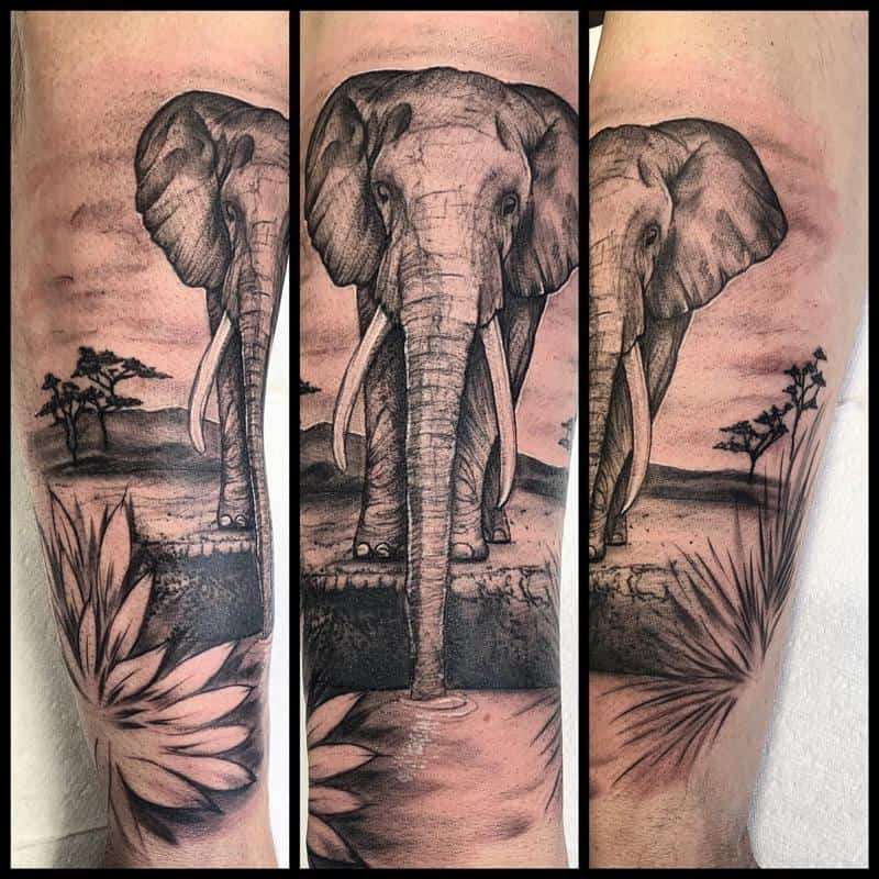 Tatuaje de elefante africano 2
