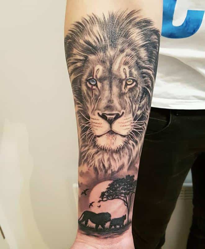   León Africano/Leona Tatuaje 2