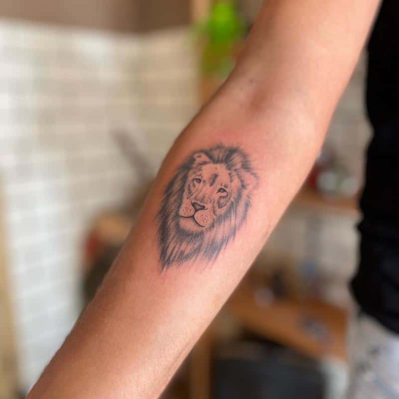 León Africano/Leona Tatuaje 3