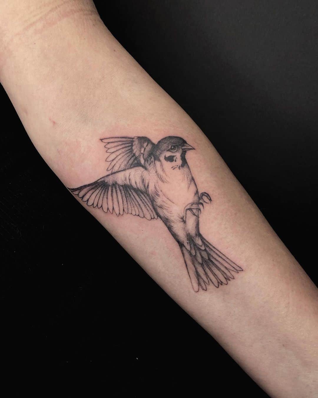 Tatuaje de gorrión noble 