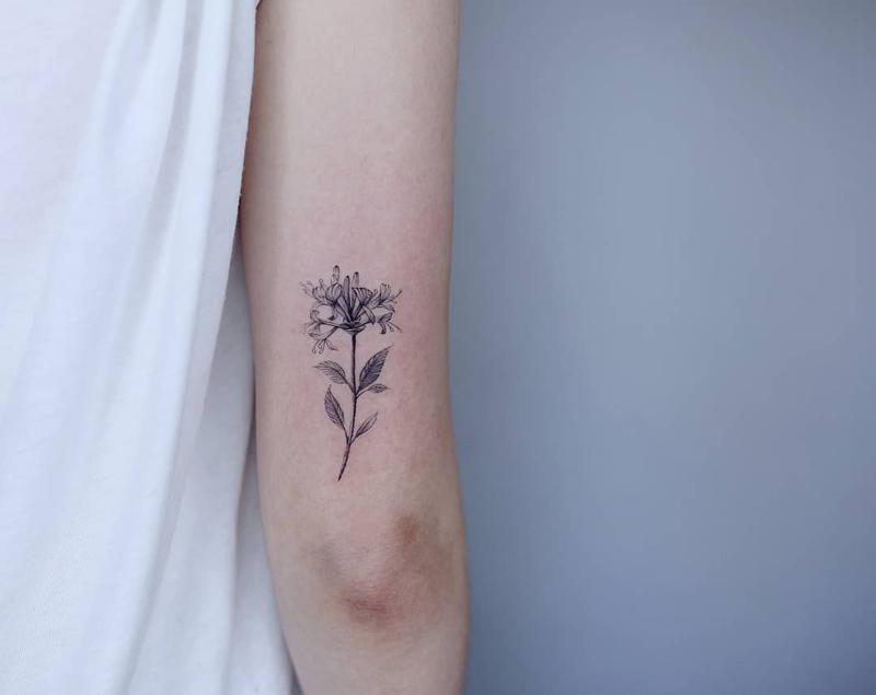 Ideas de tatuajes de madreselva 1