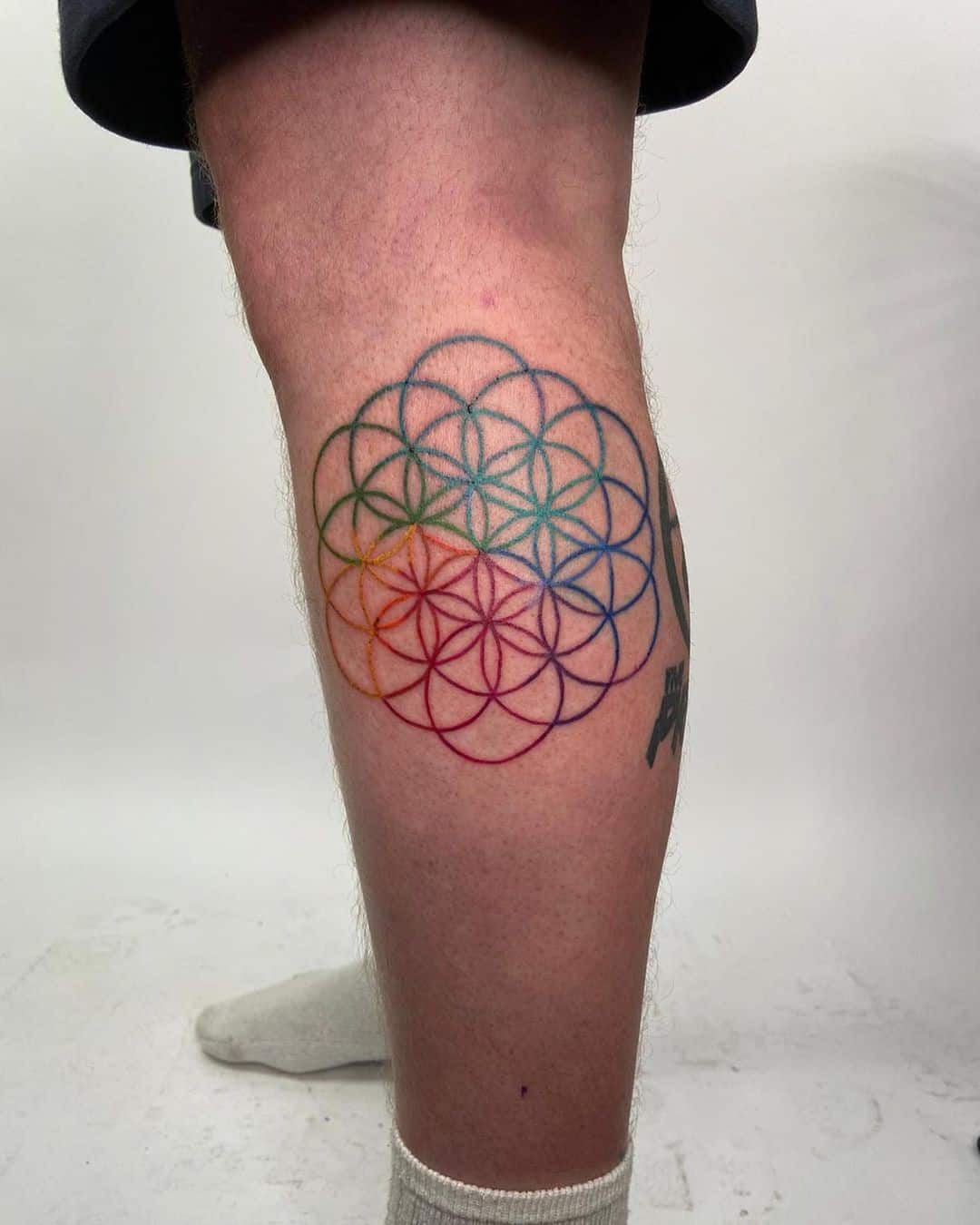 Tatuaje colorido de la flor de la vida de la pantorrilla 