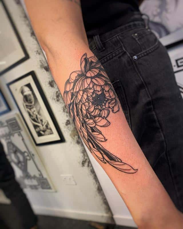 Tatuaje de contorno de crisantemo 1